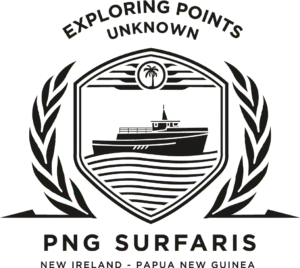 videography and photography sunshine coast Logo 2